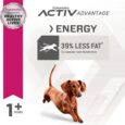 Fit Body Weight Control Small Breed