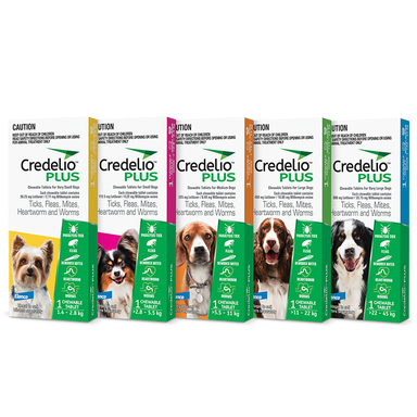 AUS_PH_CredelioPLUS_group_850x850