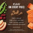 Grain-Free Recipe With Real Salmon