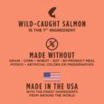 Grain-Free Recipe With Real Salmon