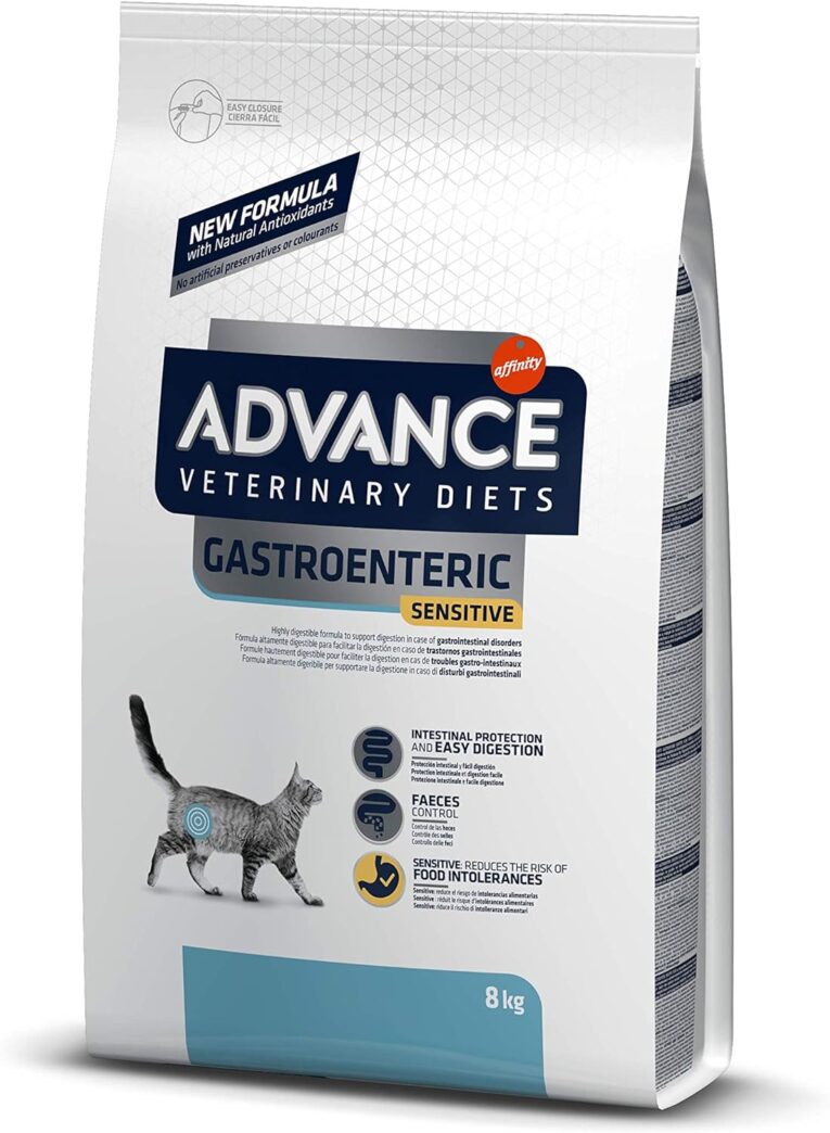 Gato Gastroenteric