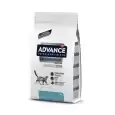 cat gastroenteric advance