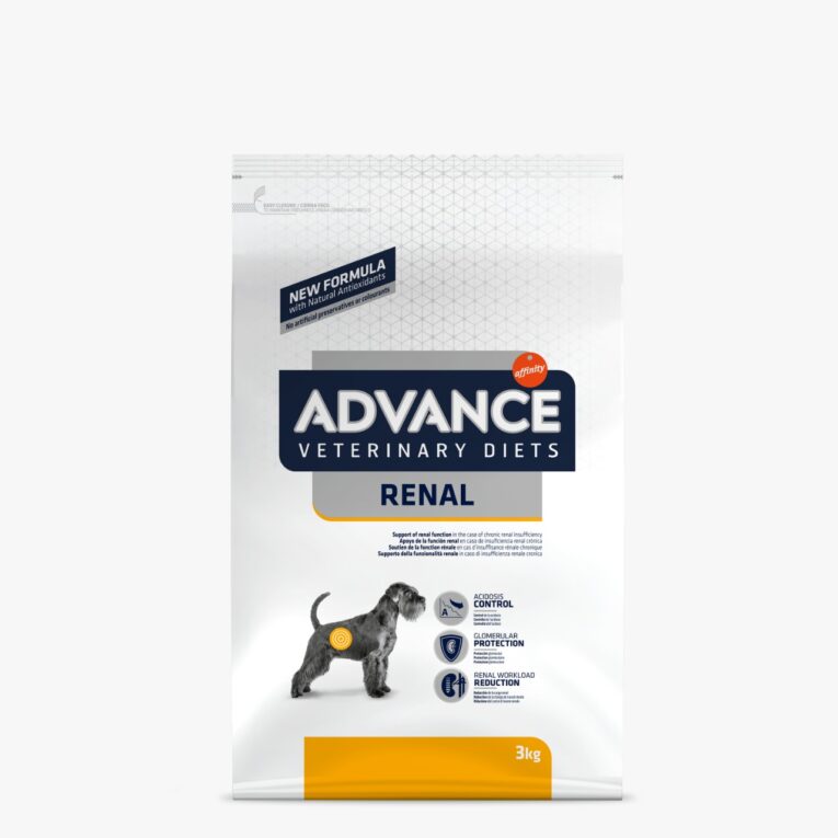 renal