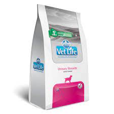 urinary vet life
