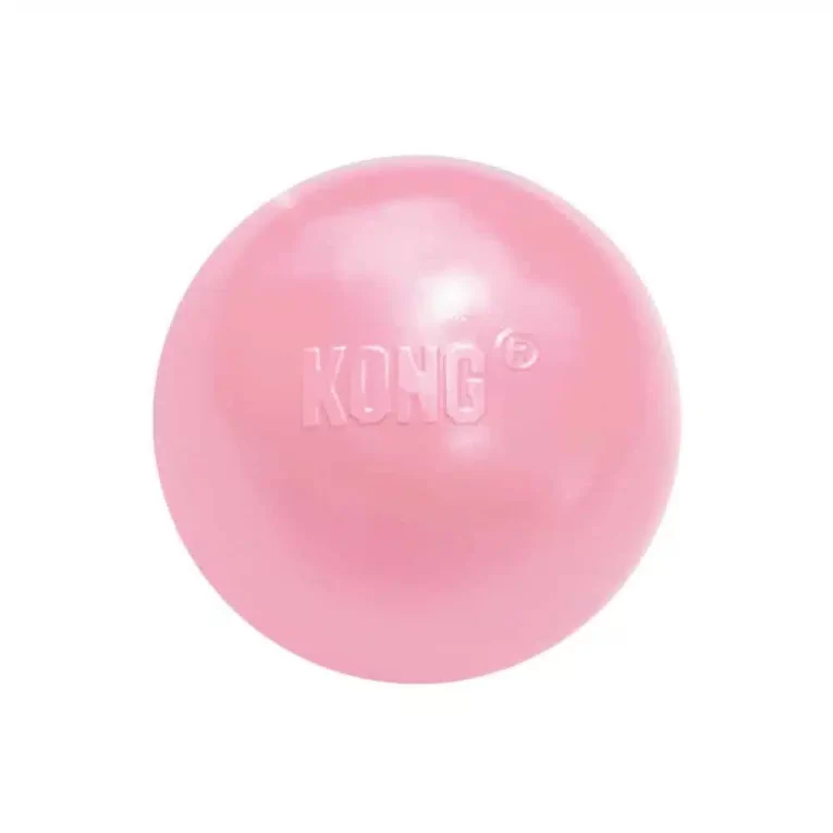 Kong ball puppy