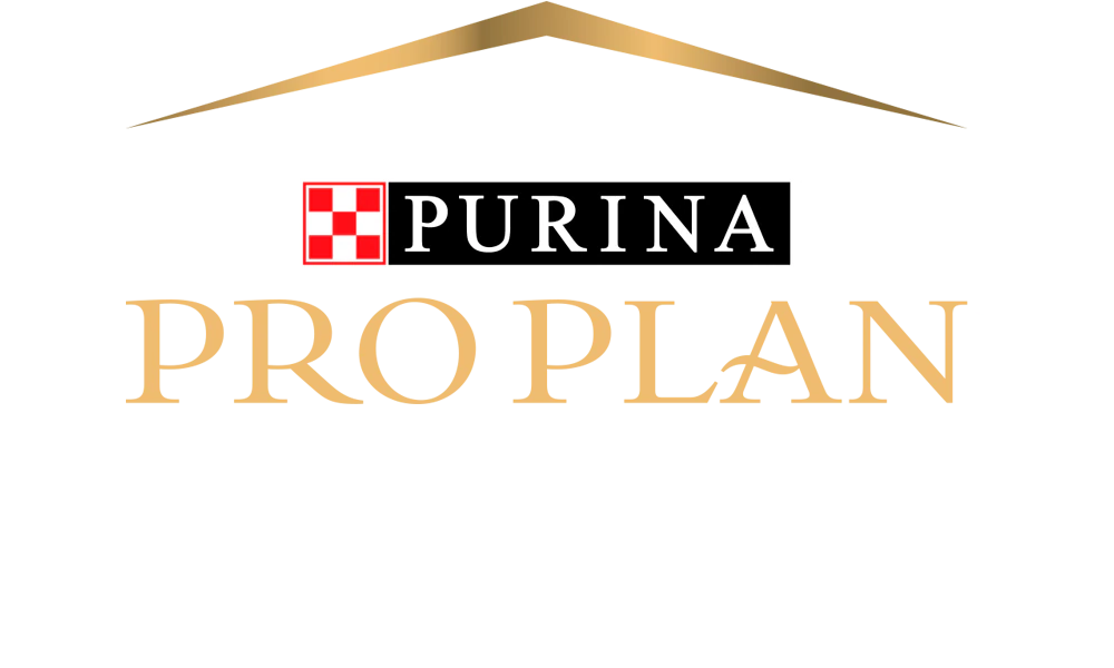 Logo pro plan