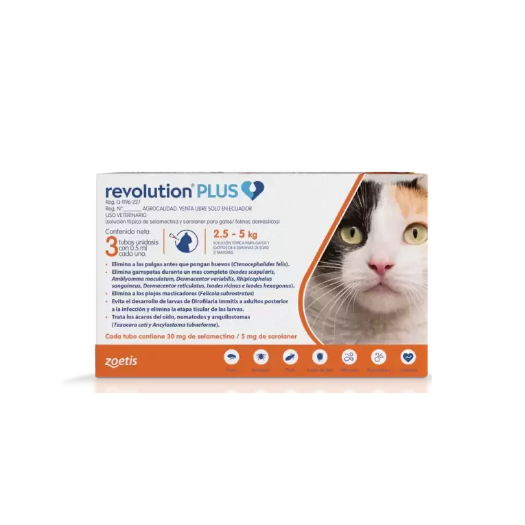 revolution plus 3