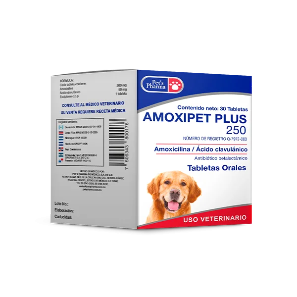 Amoxipet-Plus