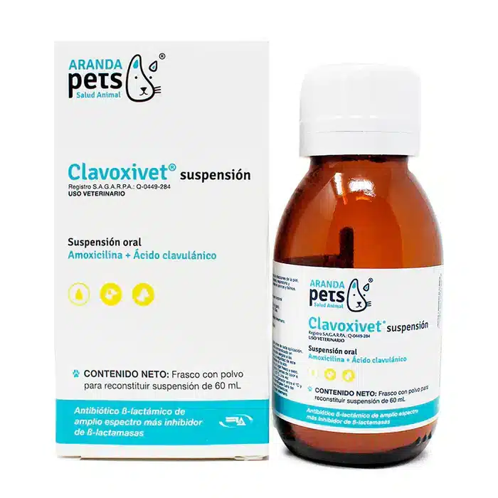 Clavoxivet-60ml-Antibiotico_
