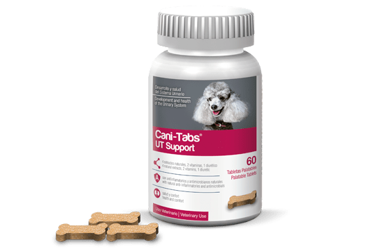 cani-tabs ut support