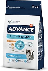 kitten_advance1