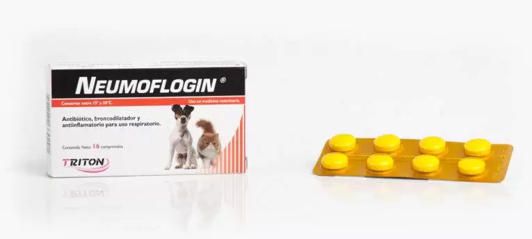 neumoflogin1