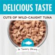 Real Tuna Recipe Pouch
