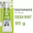 Oral Care Toothpaste Clean Teeth