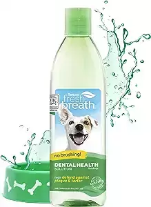 fresh breath 2