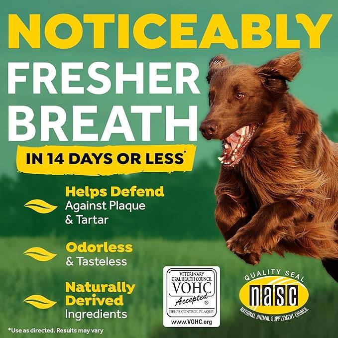 fresh breath 4