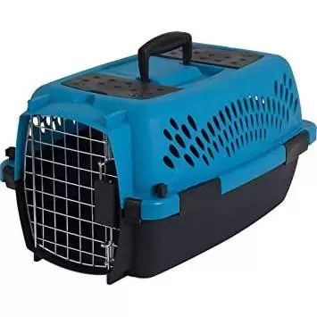 pet porter transportadora