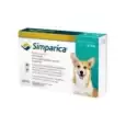 simparica10-20kg