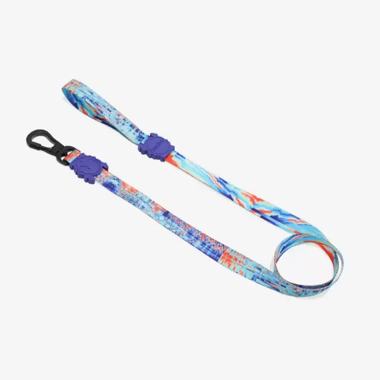 glitch-404-leash-main-3