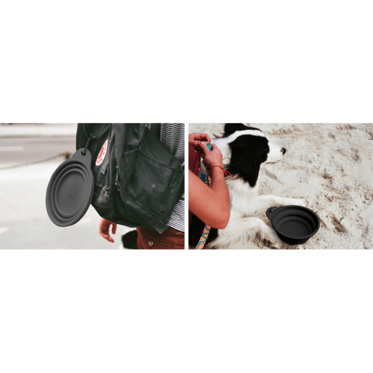 zeedog-go-bowl-black-plato-plegable (1)