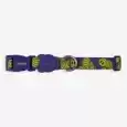 zeedog zmiley-collar-1