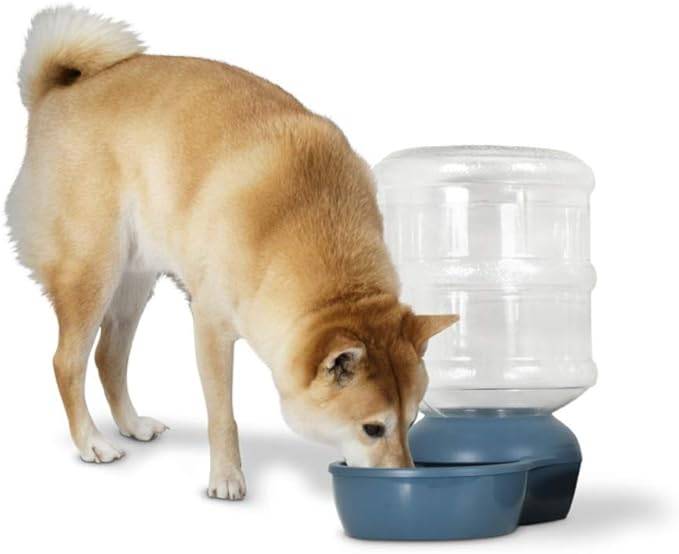dispensador de agua para perro lebistro 1