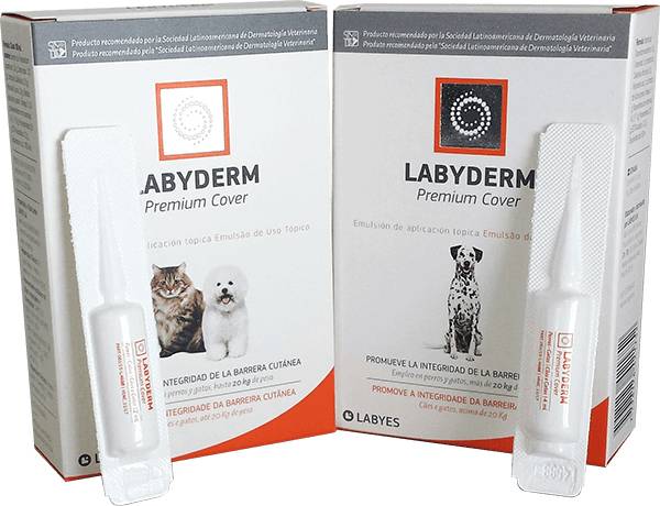 labyes labyderm premiun coverr