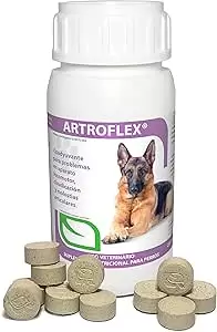 ruiland vetri-artoflex
