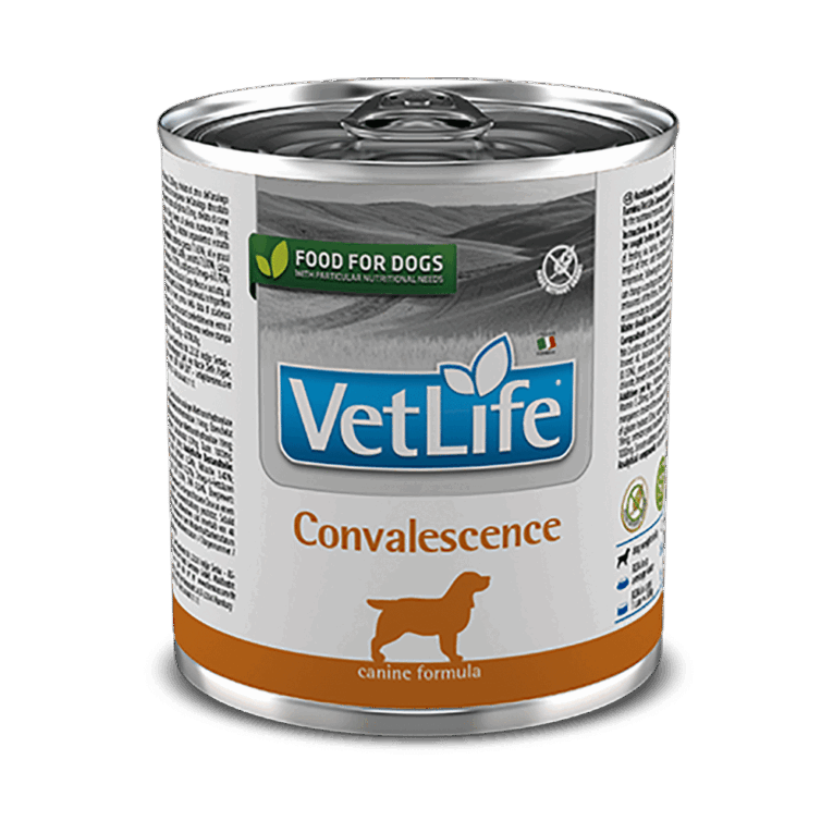 convalescence 2