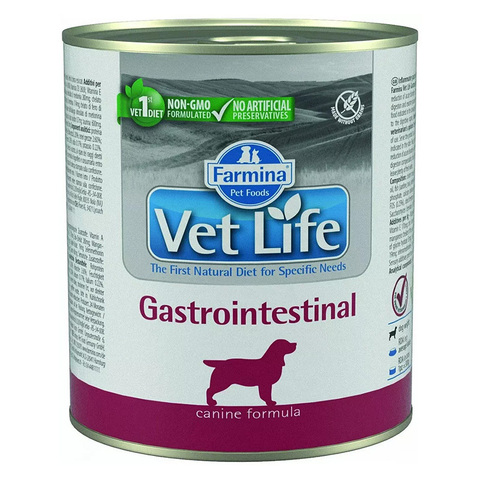 gastrointestinal-lata-vetlife