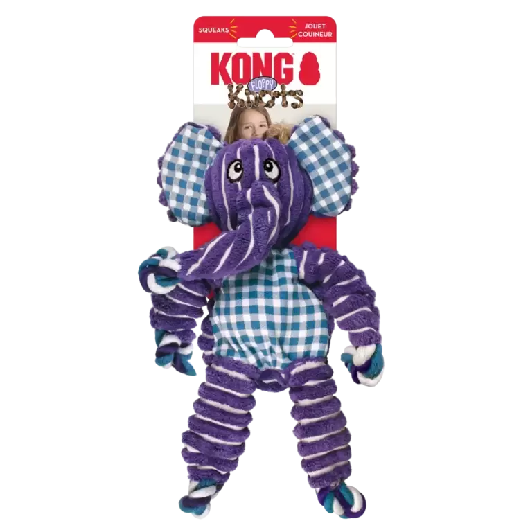 Kong_floppy_md_lg