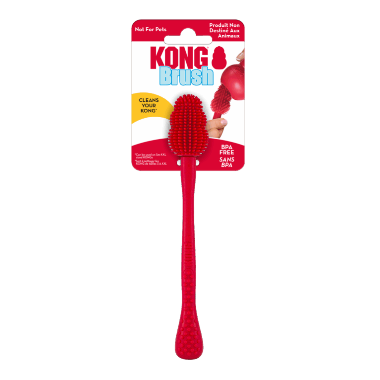 kong-brush-1536x1536