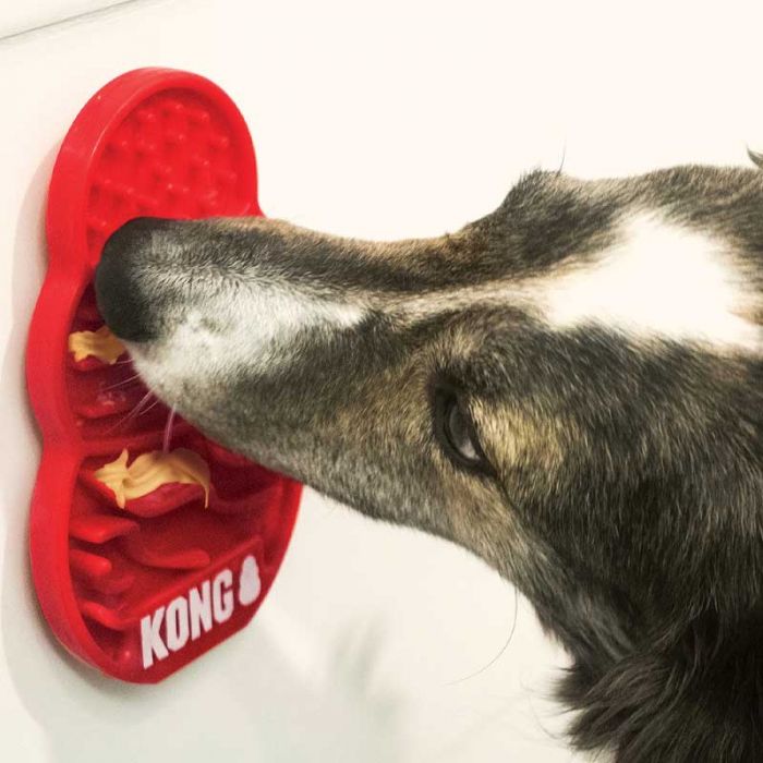 kong_lick-perrito