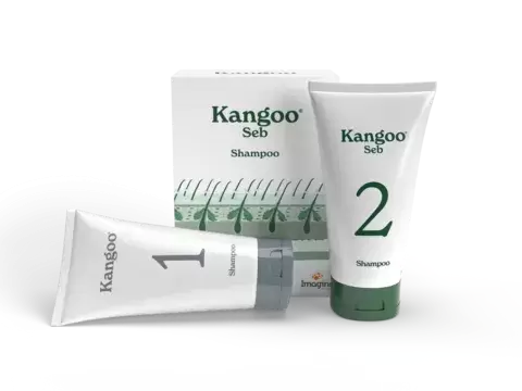 Kangoo_Seb