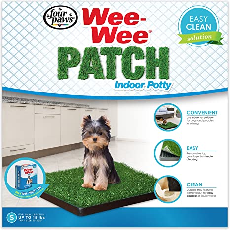 we-we patch cesped small