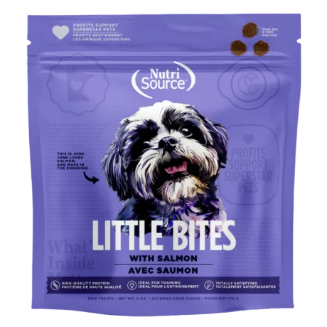 Little Bites With Salmon