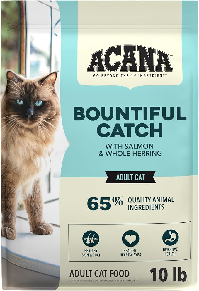 acanabountiful_adultocat